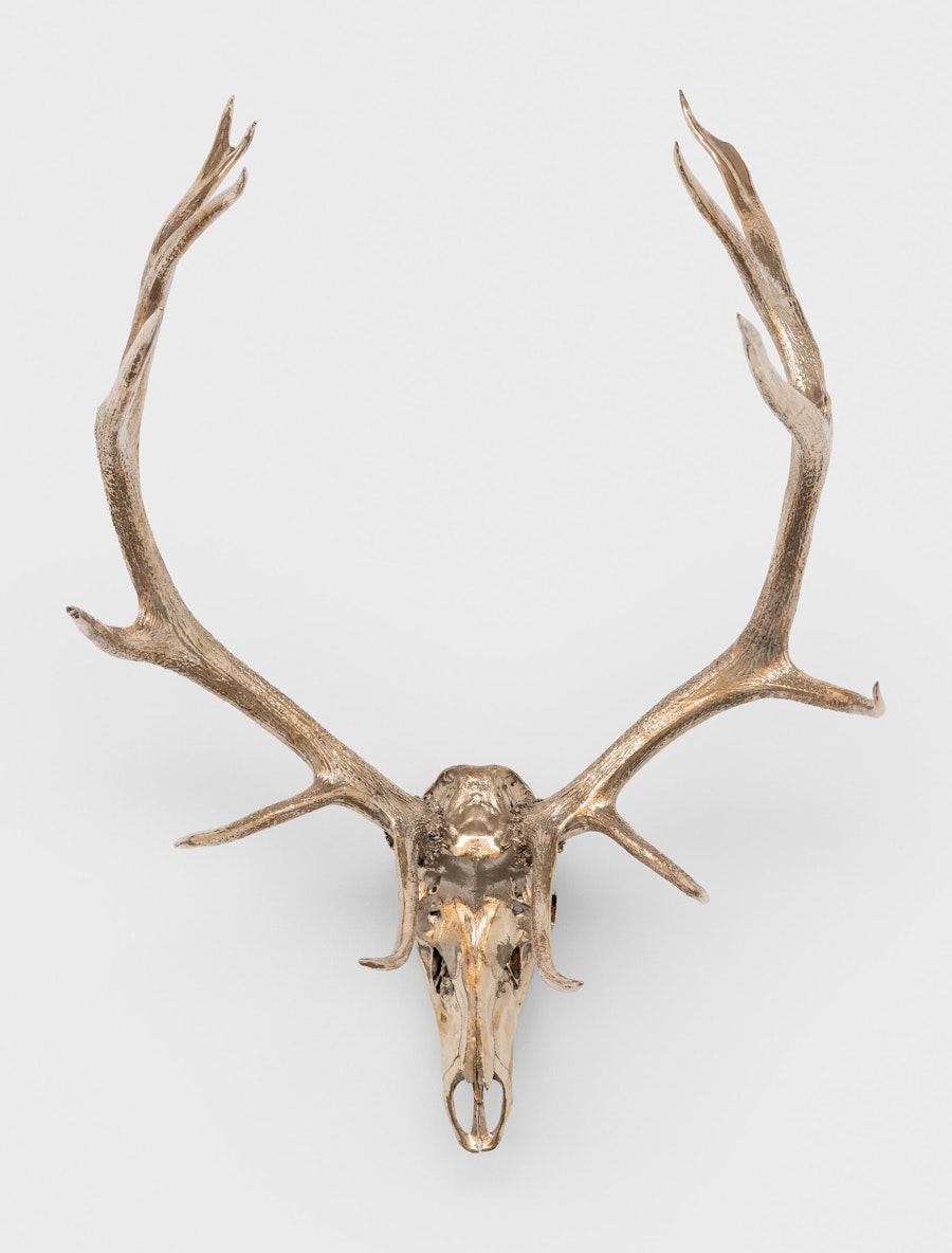 Elk Skull, 2024
