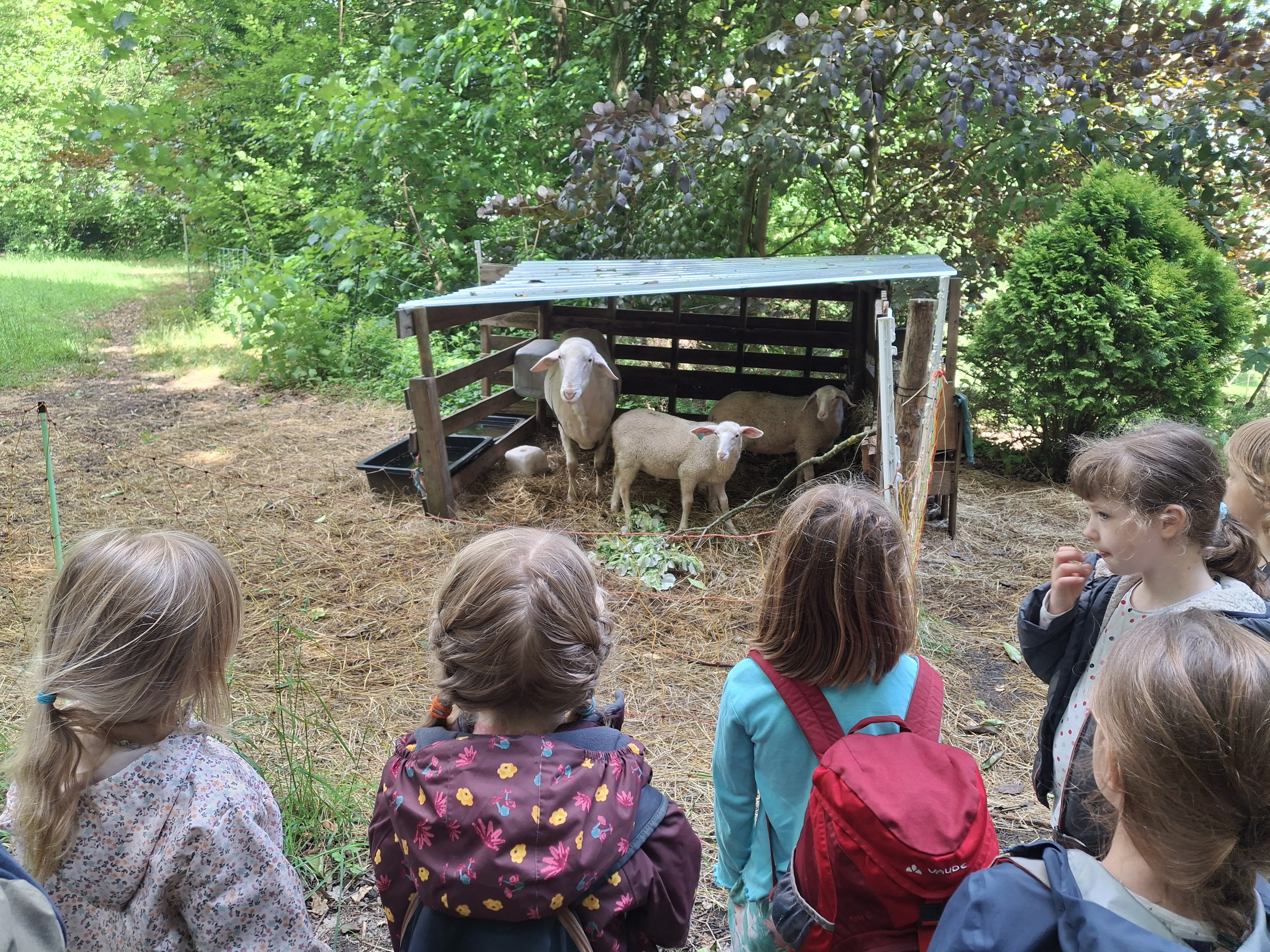 Nature workshop