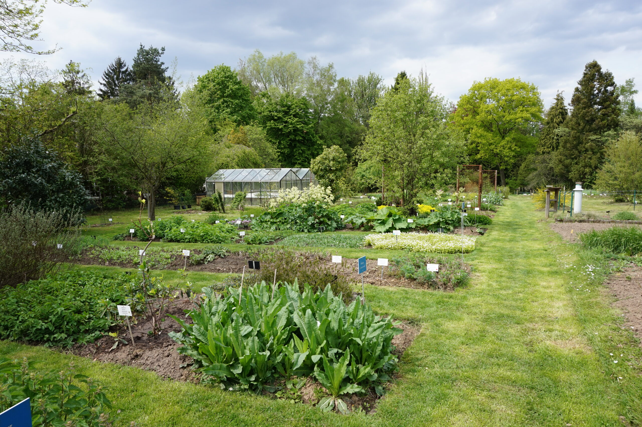 Découverte des collections botaniques — Jean Massart Botanical Garden (ULB)