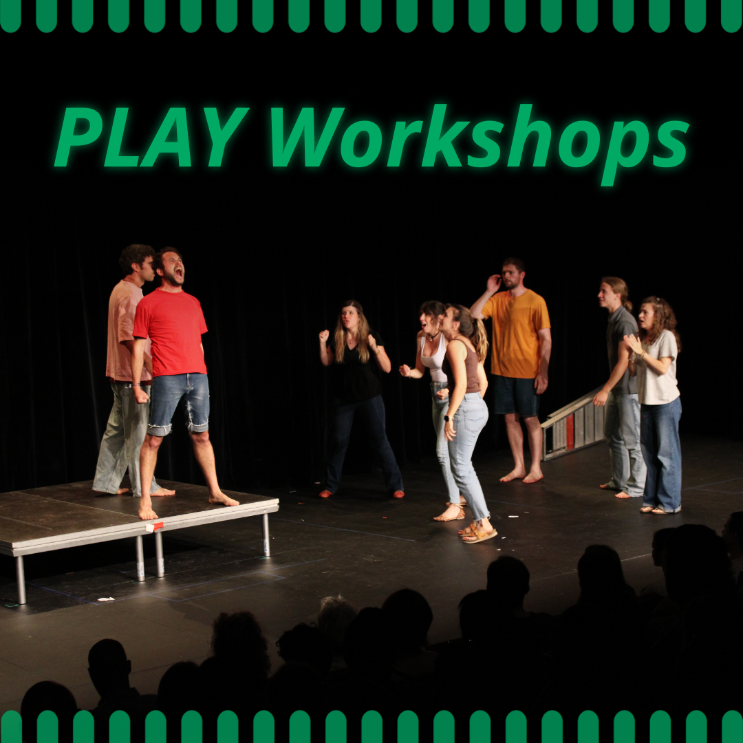 Play Workshops