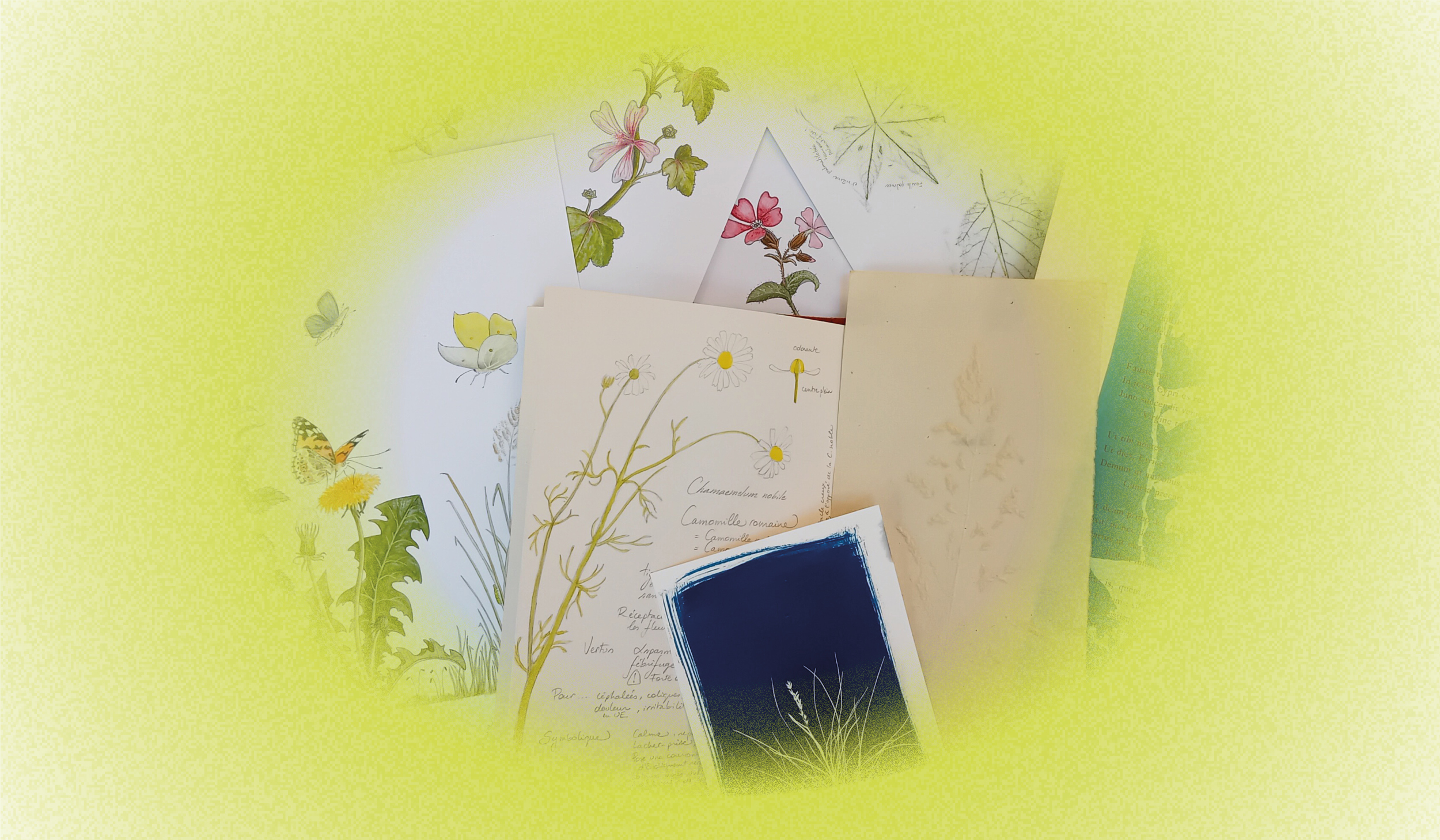 Botanique et traces de plantes — La Maison du Livre