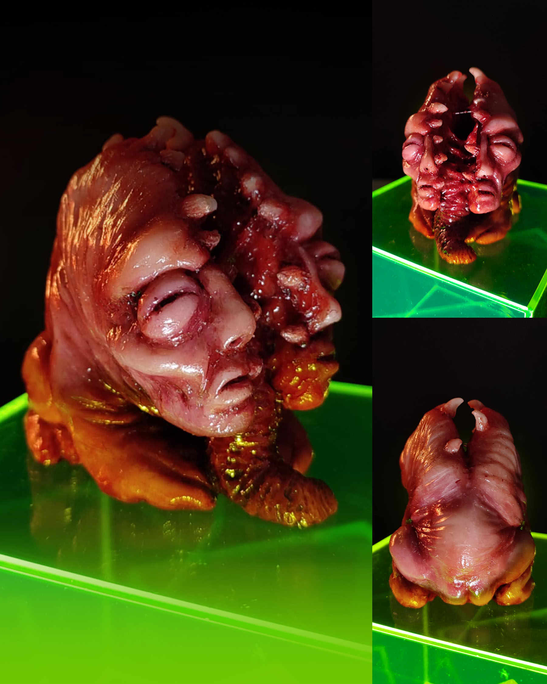 Workshop expo : Parasite Paradise