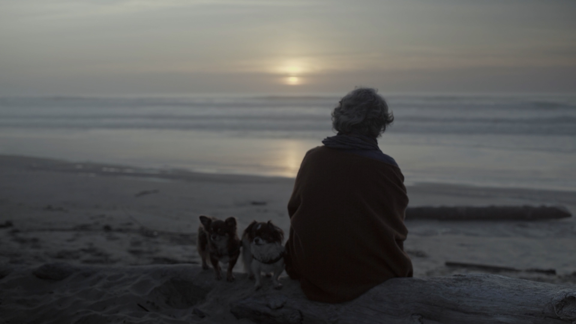 Bienvenue dans le monde des femmes