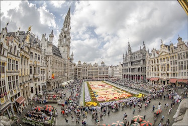 Tapis de fleurs de Bruxelles