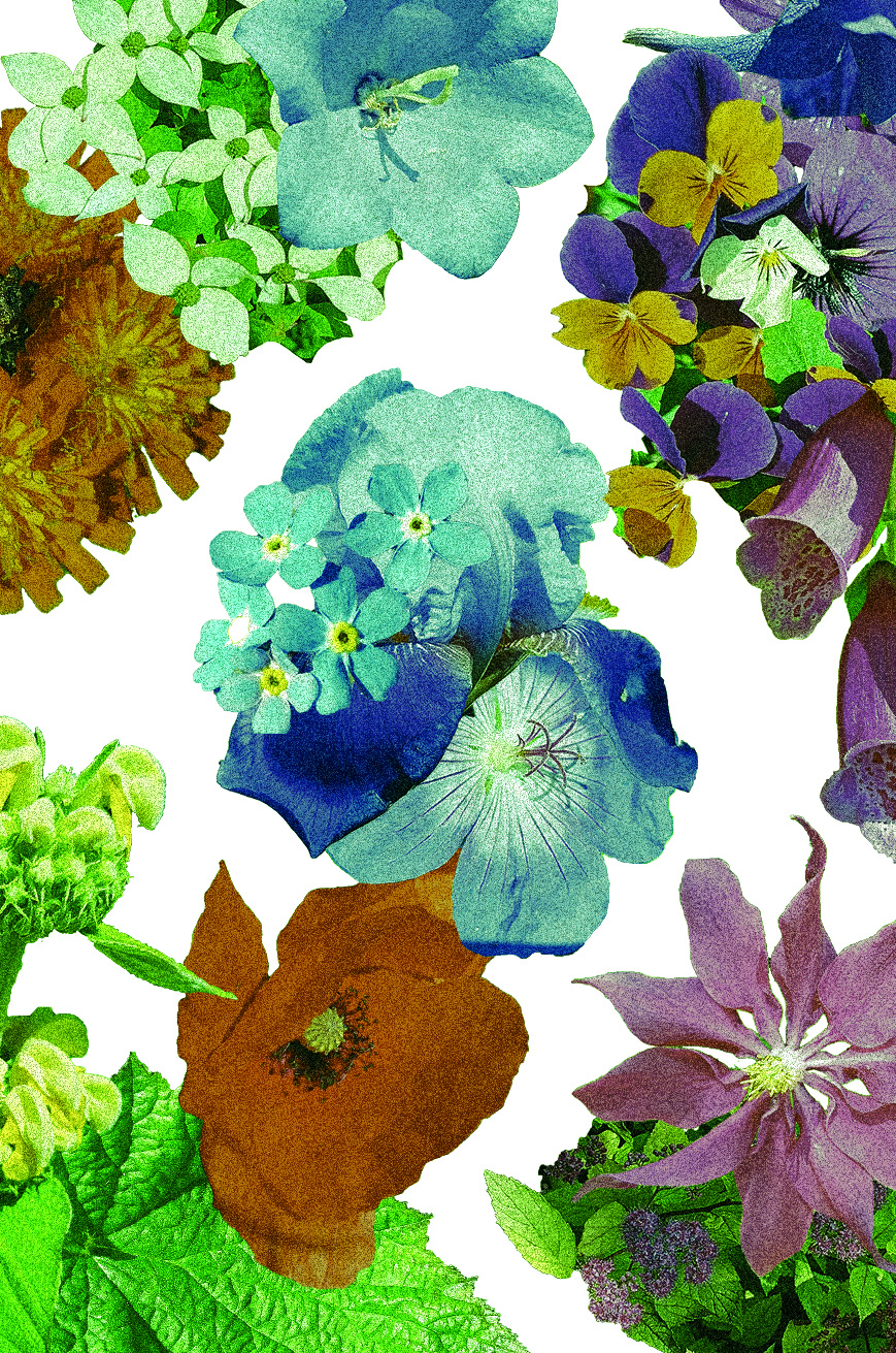 Summer Tales at the Florist's Garden