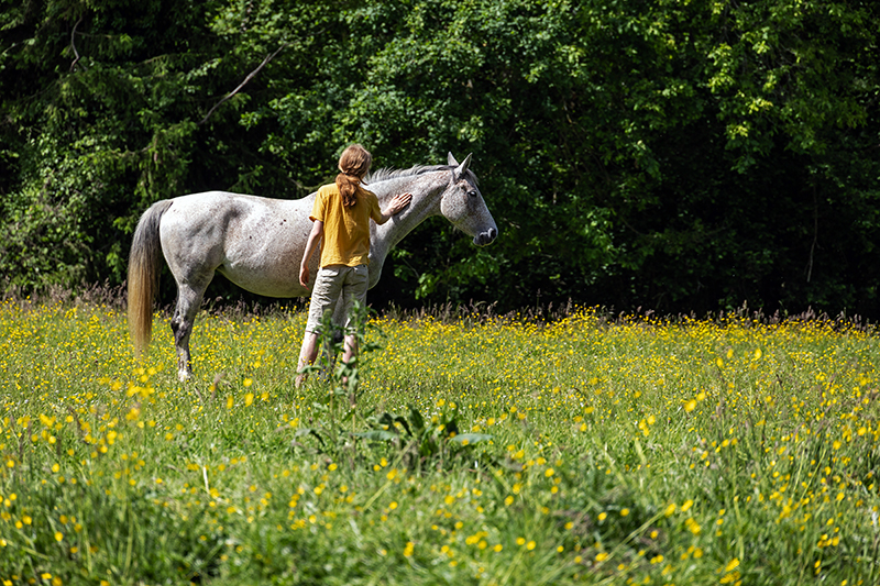 Conte "Bayard, le cheval fée" par l'asbl Volubilis