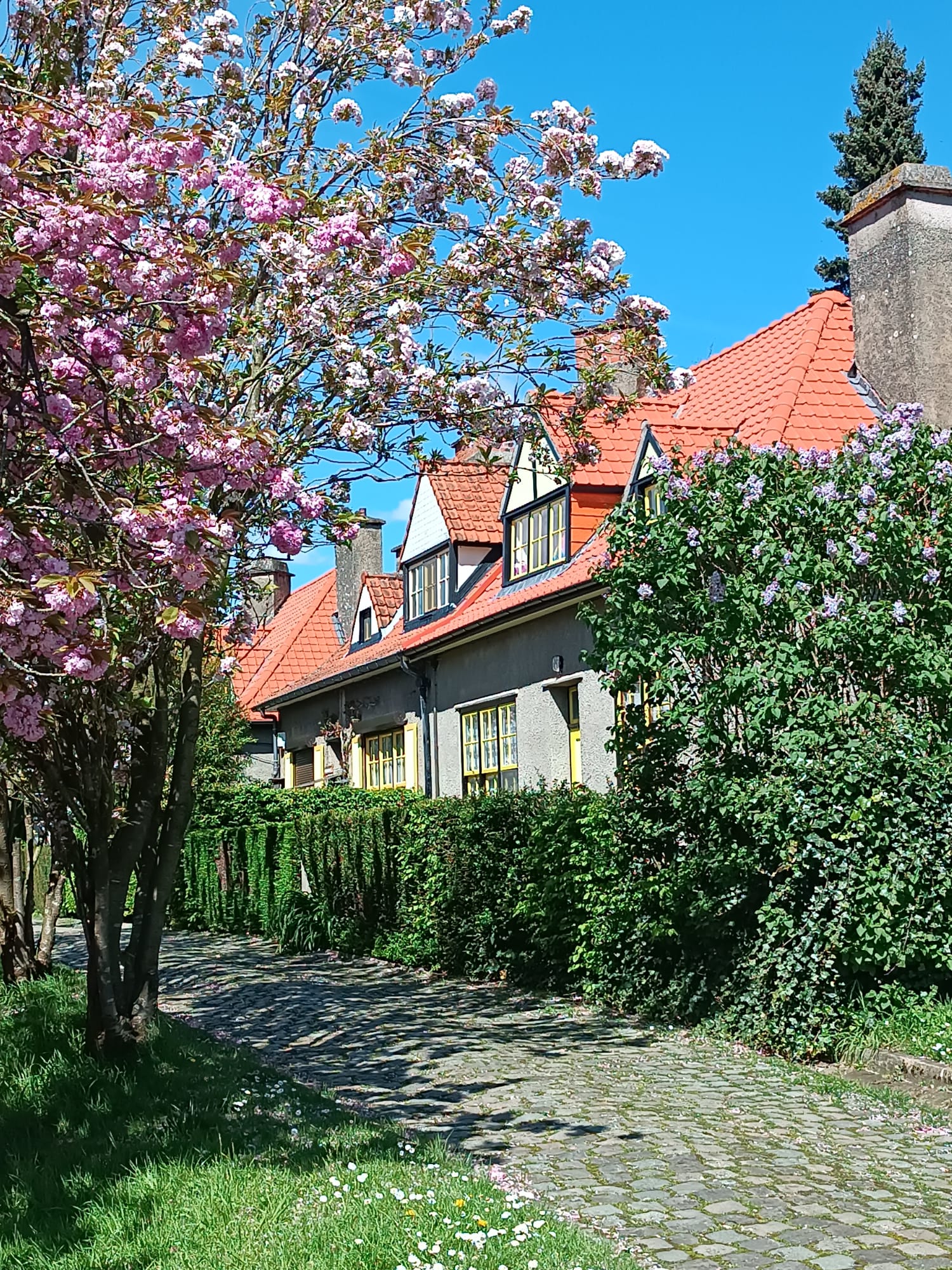 Guided tour of the Le Logis and Floréal garden cities