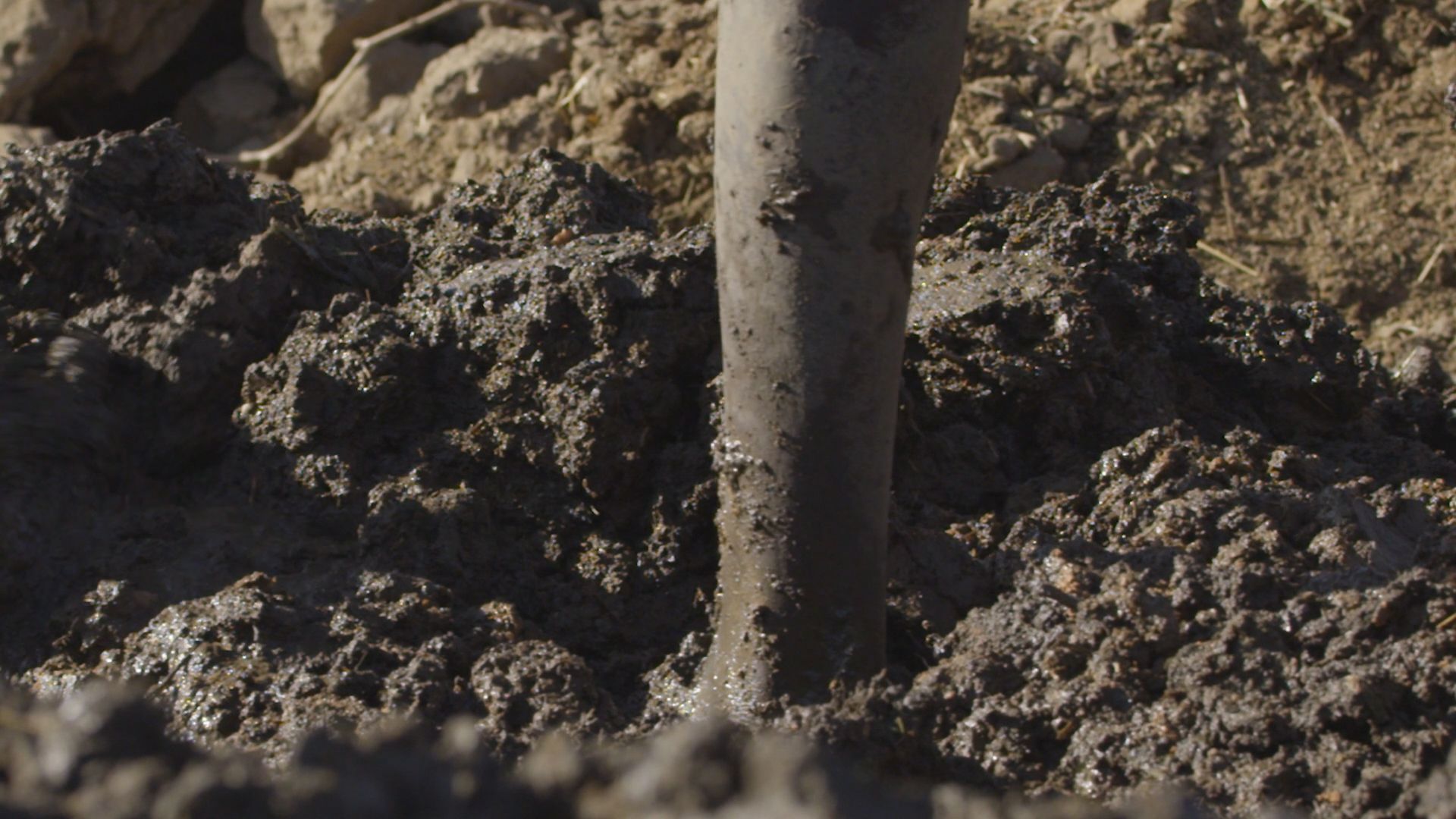 Ali Cherri - Archaic Matter: Mud, Myth, and the Politics of the Elemental