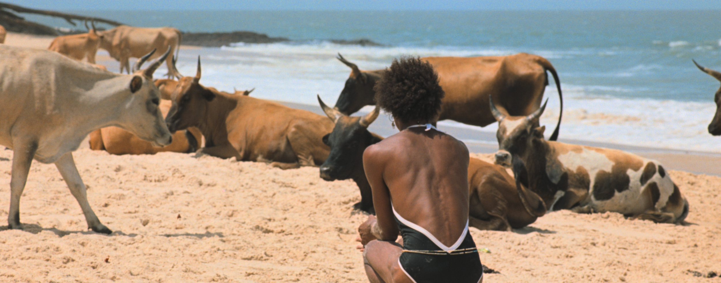 Le Rire et le couteau