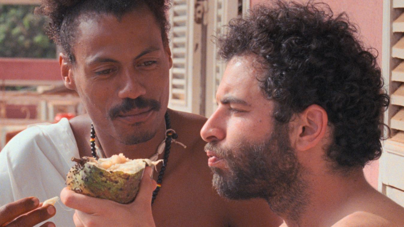 I Only Rest in the Storm - Pedro Pinho