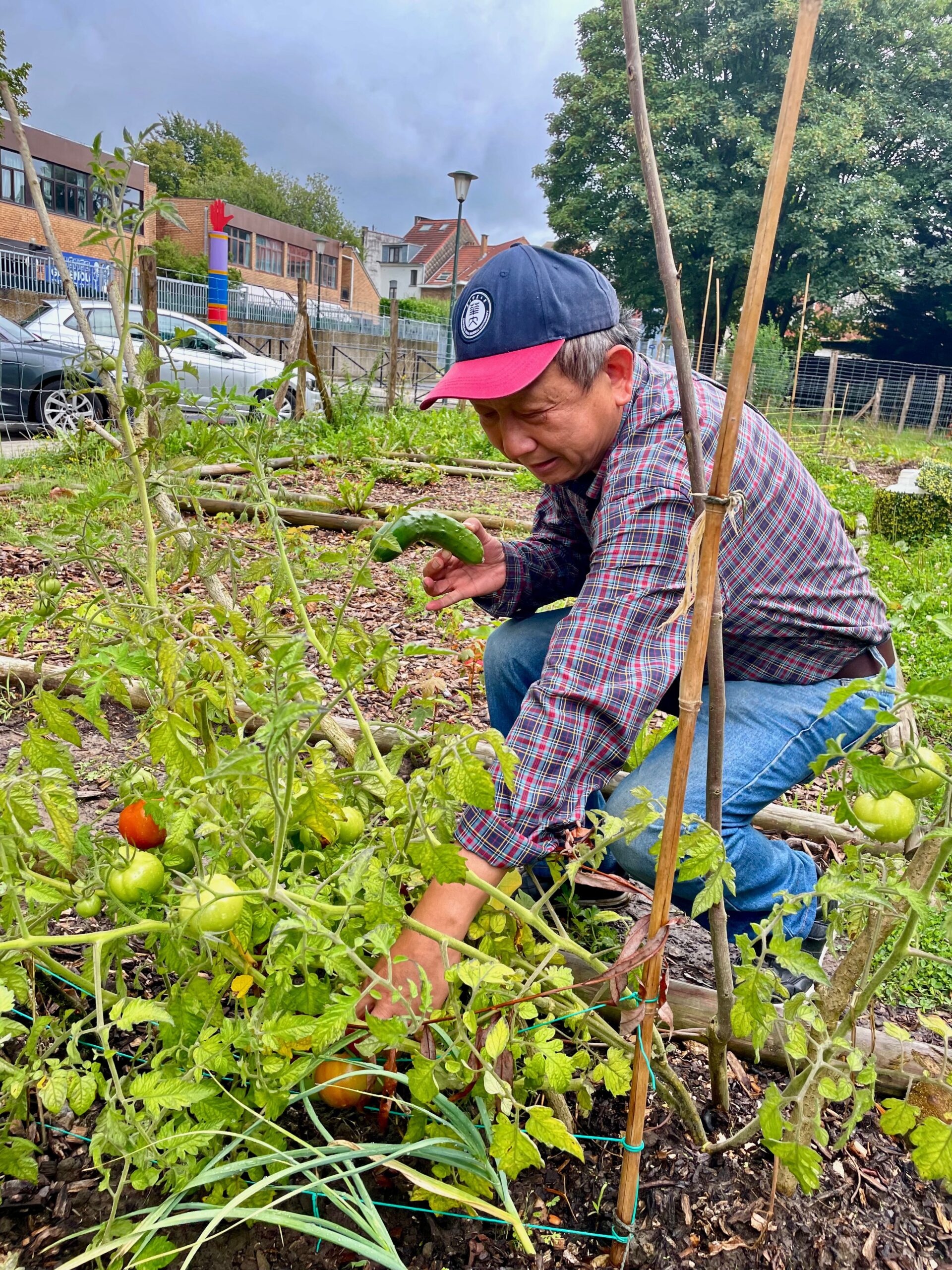Semis et travaux d'automne au potager — Bibliothèque Uccle-Centre