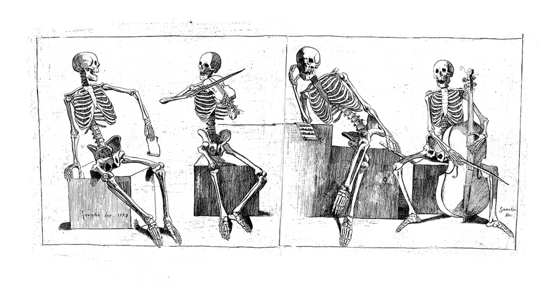 The Bones
