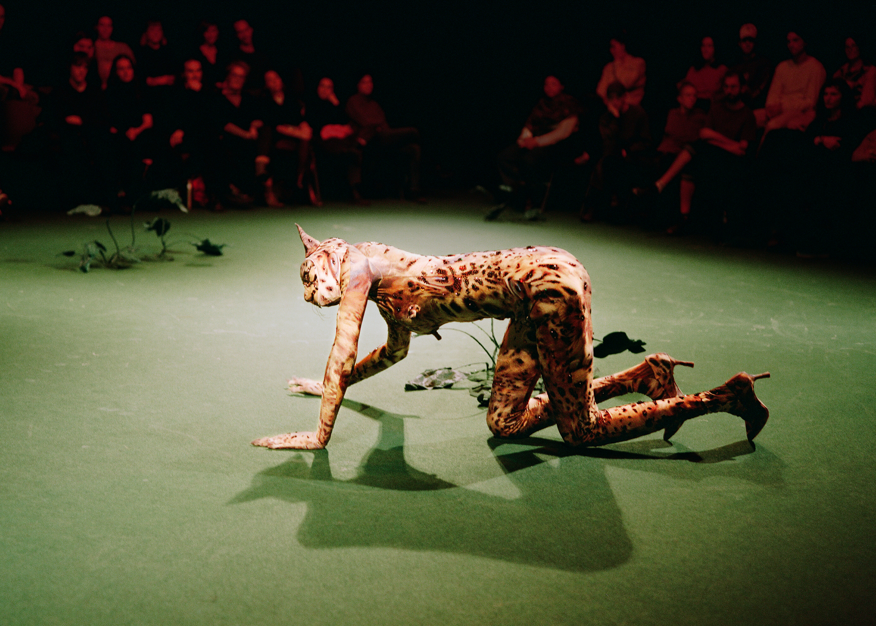 Rectum Crocodile — Théâtre Varia