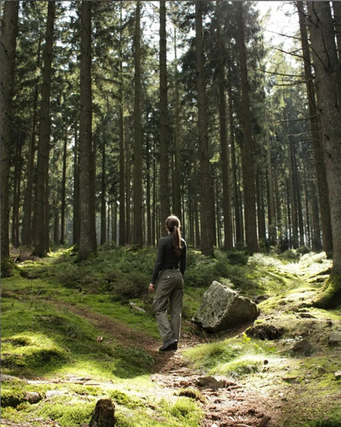 Zomerplezier: wildplukwandeling — GC De Kroon
