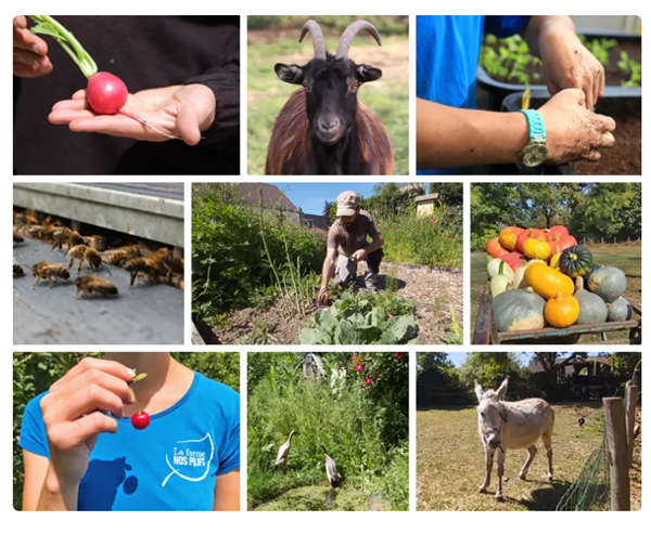 Vk visite I City farm Nos Pilifs