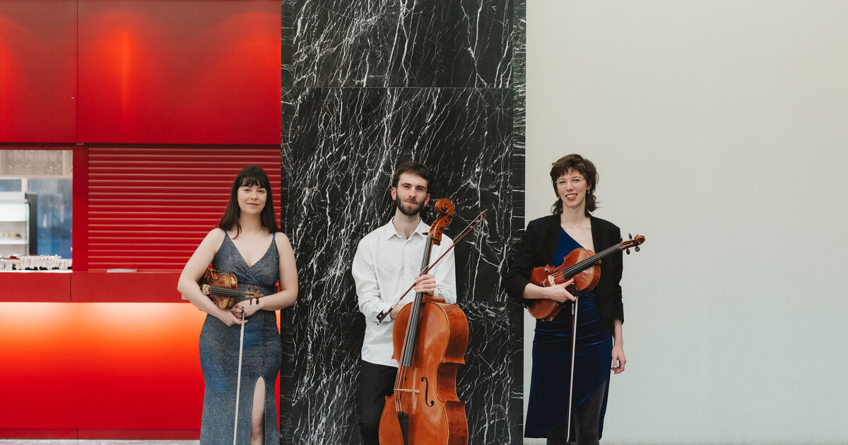 Ensemble Satellite — Flagey