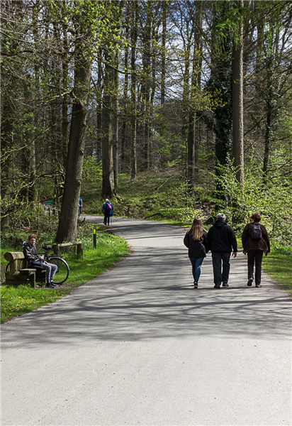 Wandel je Fit