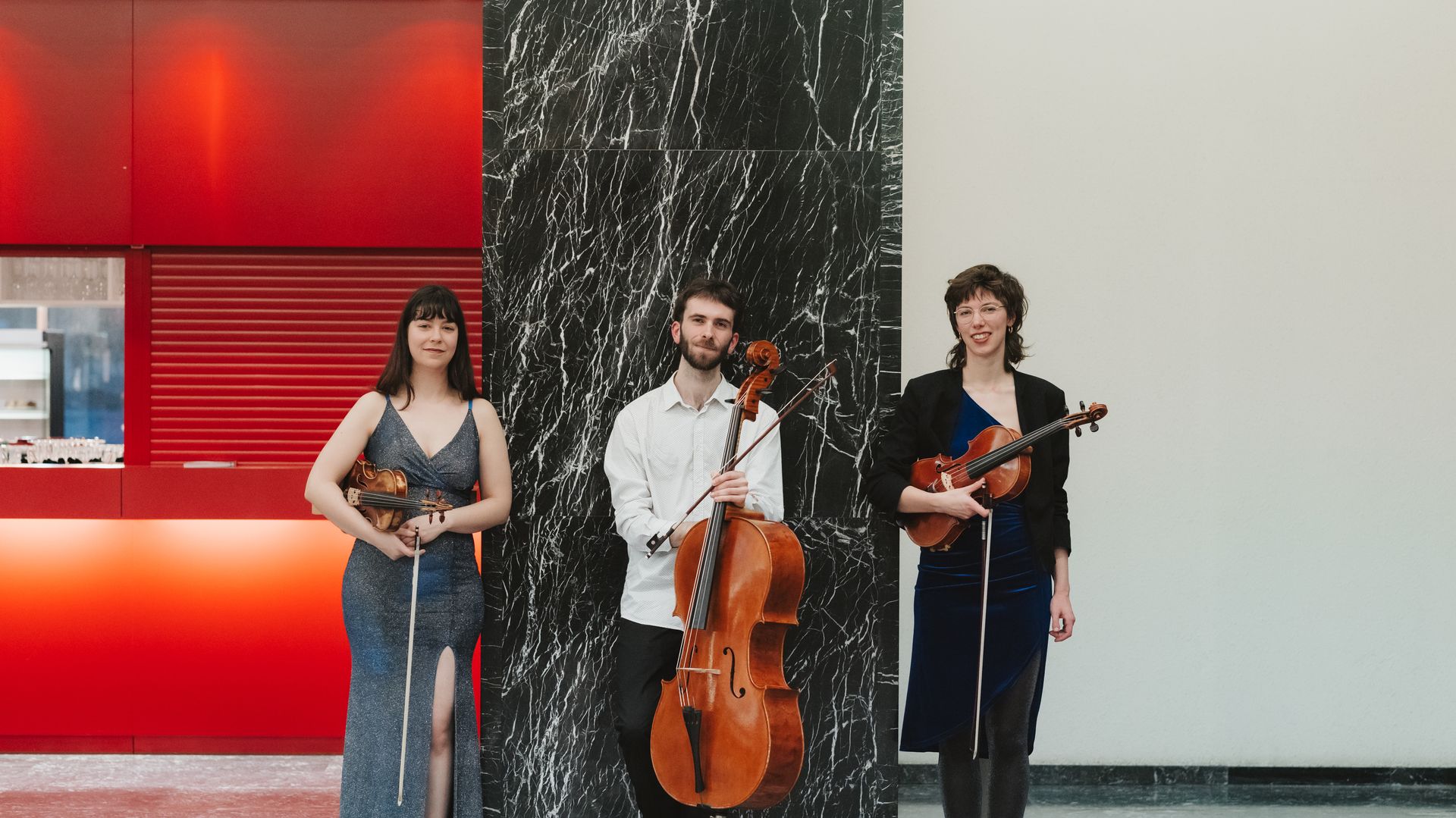 Ensemble Satellite