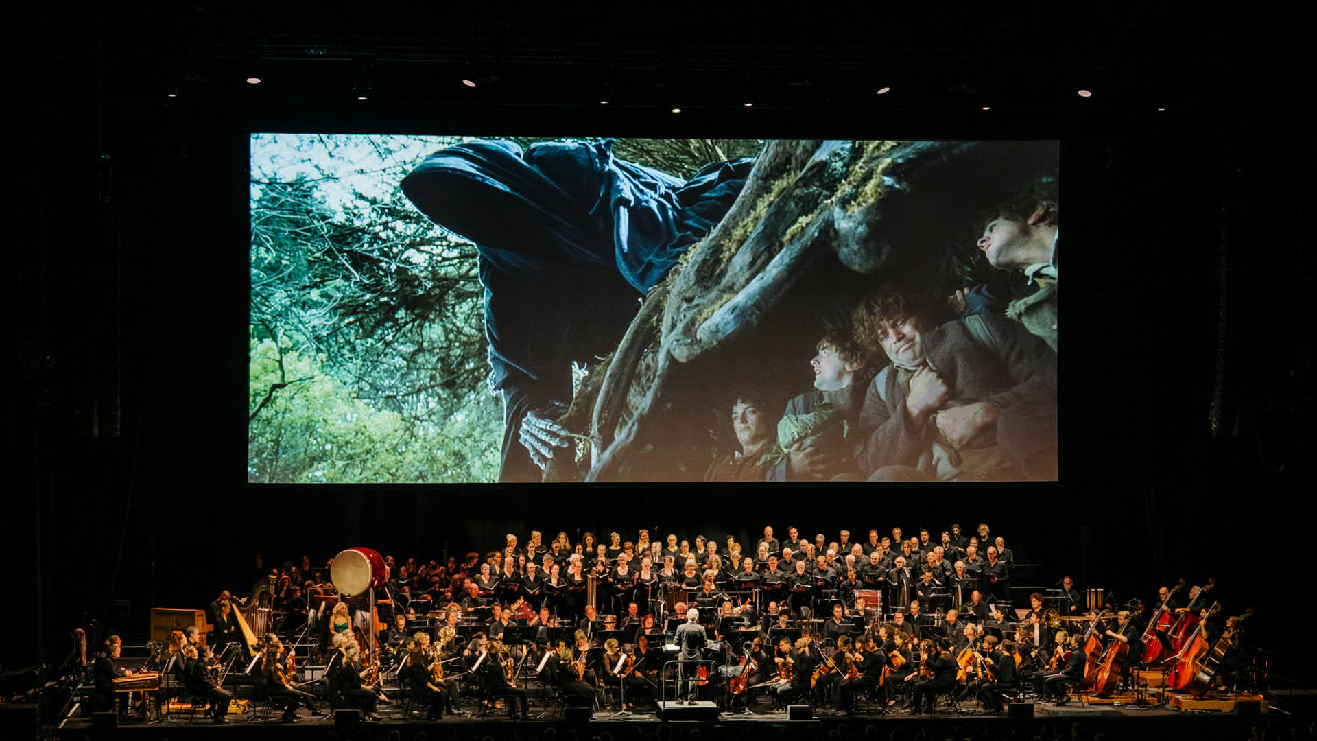 The Lord of the Rings: The Fellowship of the Ring in Concert - #1