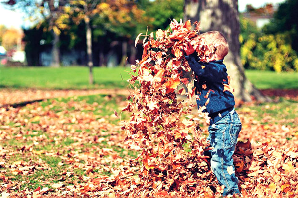 Speelvierdaagse 'Creatief in de kleurrijke herfst' (4-5 jaar)