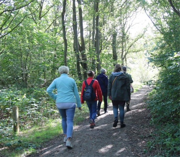 Gold sportaanbod 'Zomer' Stads- en Natuurwandeling