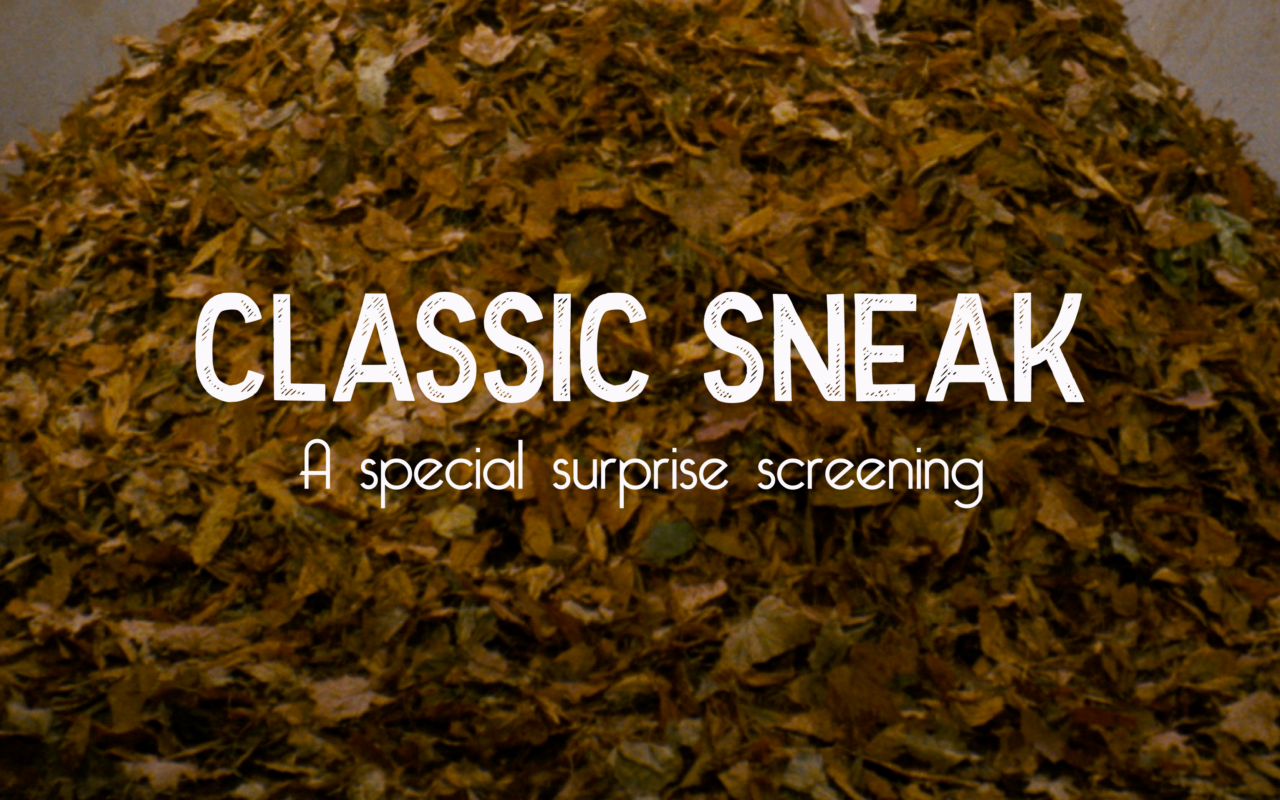 Classic Sneak