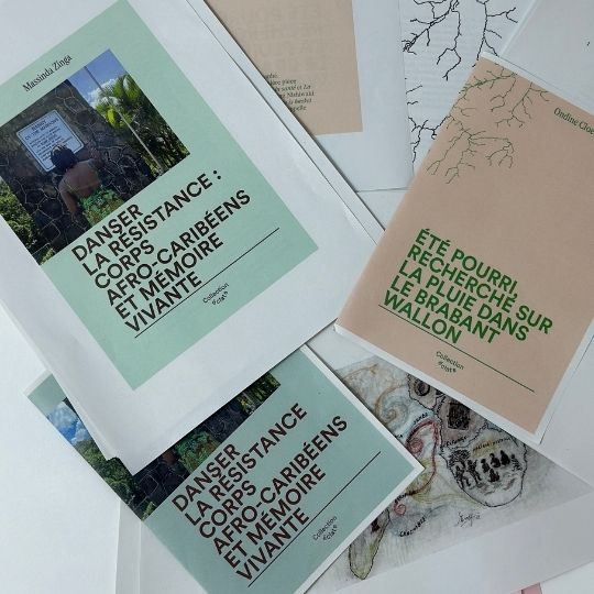 Dance shards – Two journeys to read dance