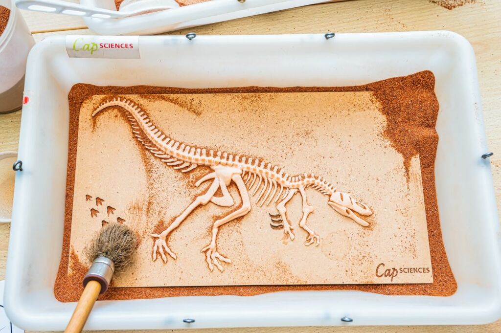 Atelier découverte : Expédition dinosaures