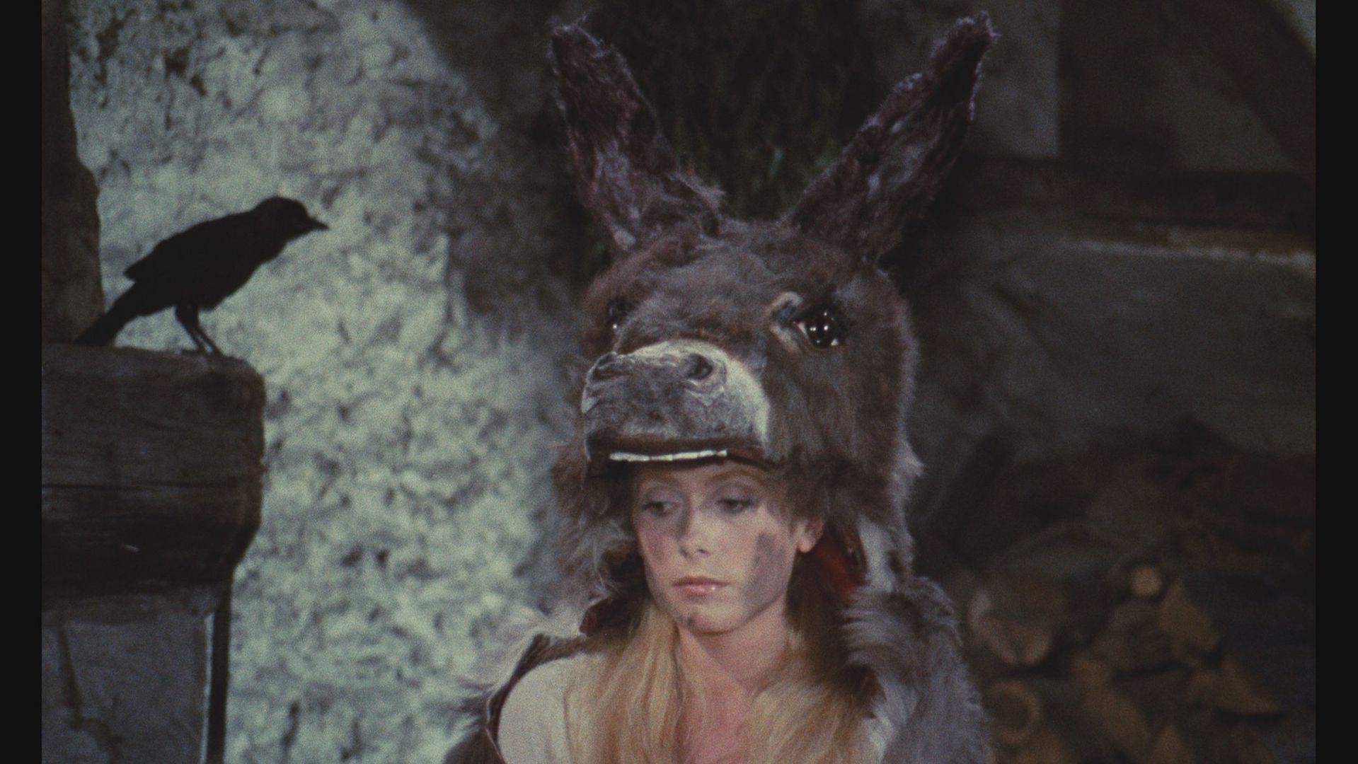 Donkey Skin