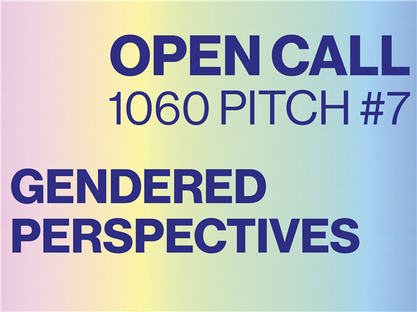 1060 Pitch #7: Gendered Perspectives