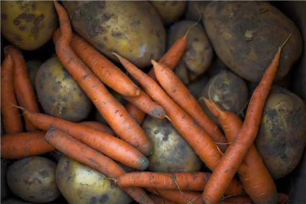 Carrot Mash Against Poverty
