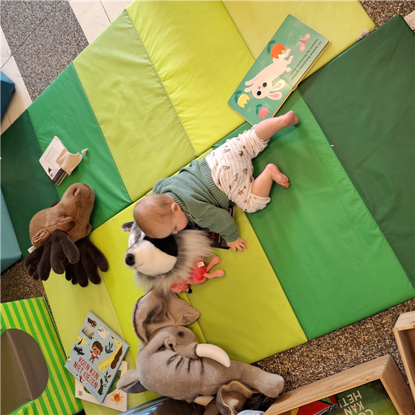 Baboes: de bib op bezoek