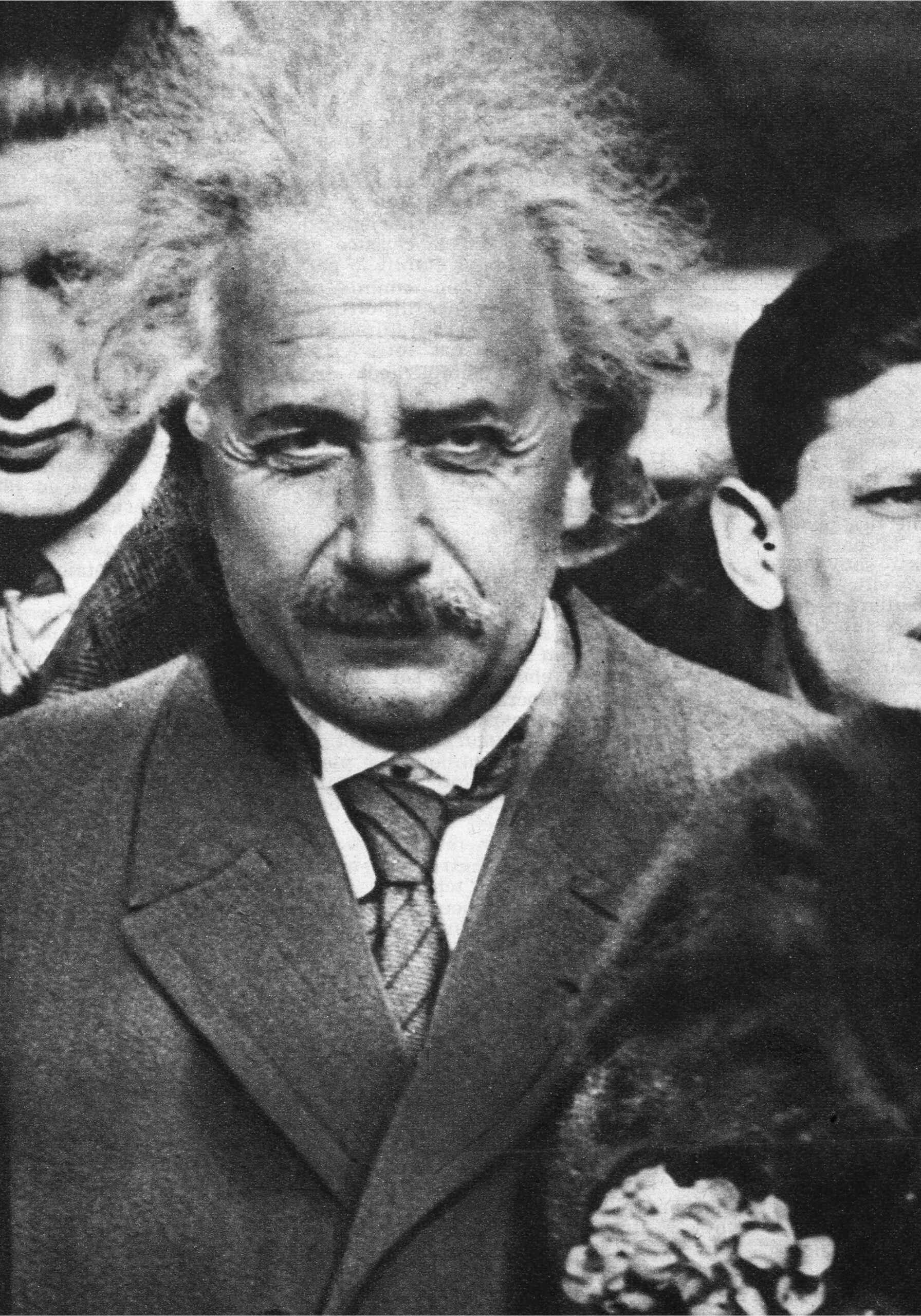 EINSTEIN AU COQ