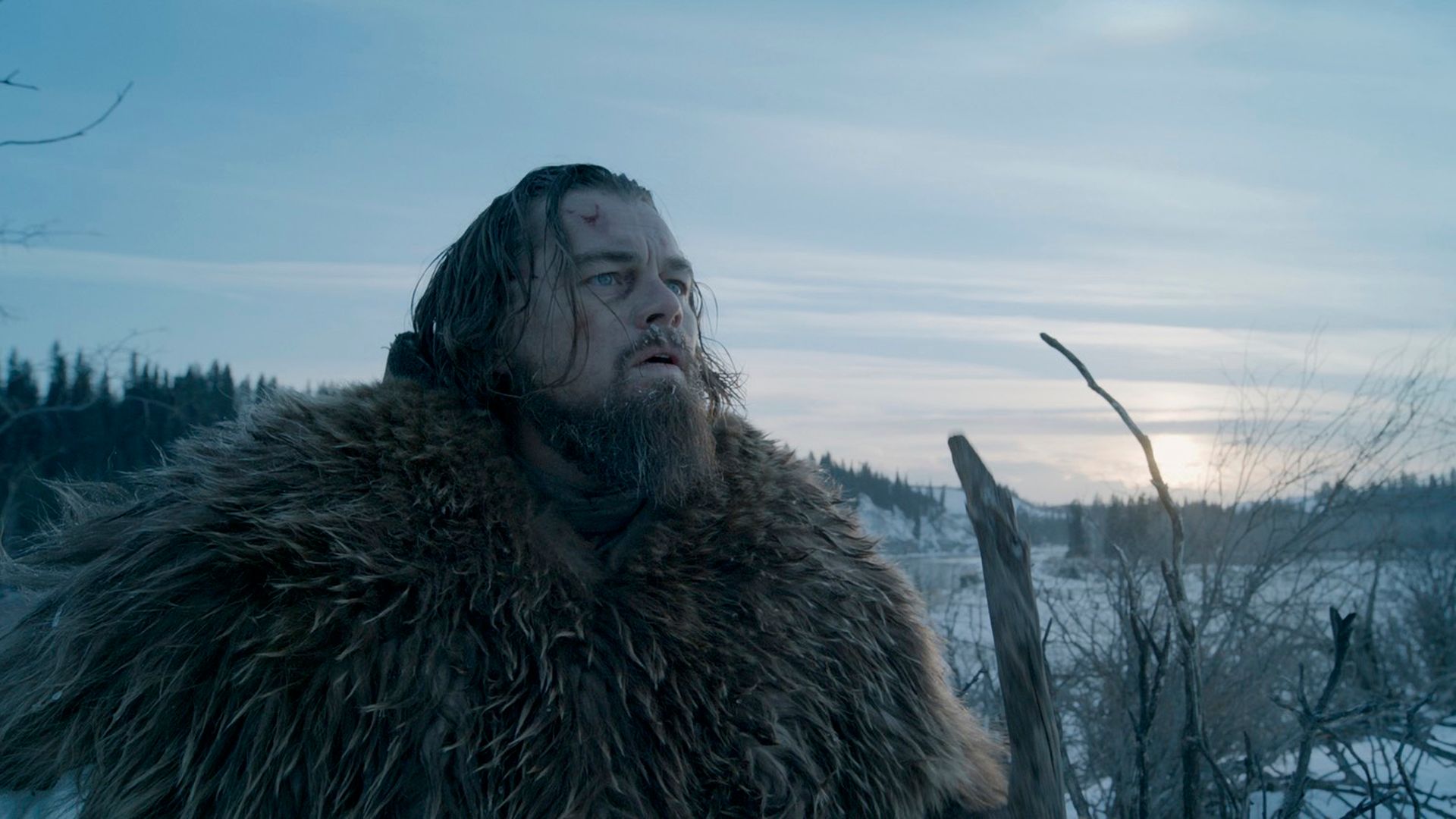 The Revenant