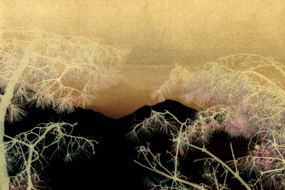 AlbarrÃ¡n Cabrera, Nyx #60126, courtesy of IBASHO