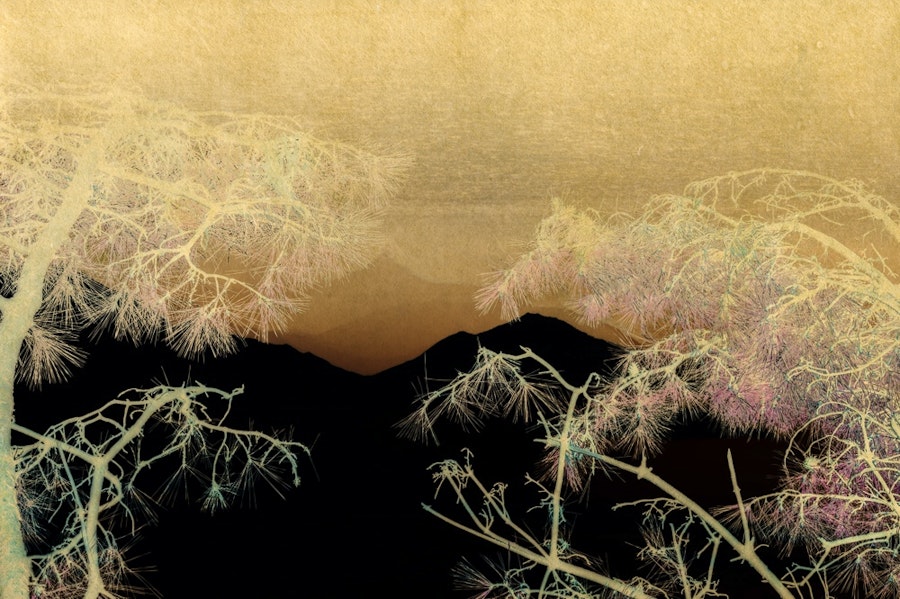 AlbarrÃ¡n Cabrera, Nyx #60126, courtesy of IBASHO