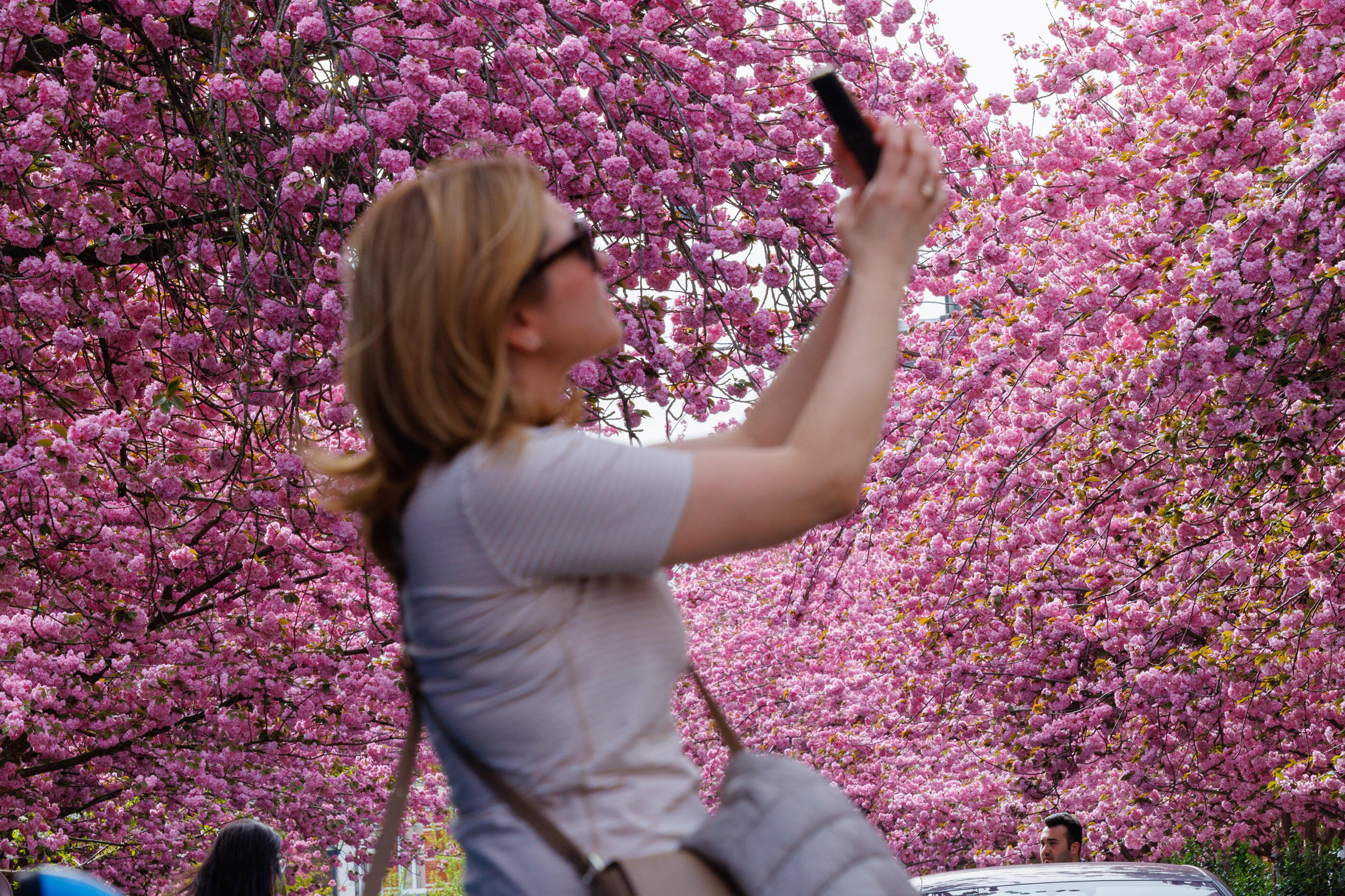 Schaarbeek door de lens van je smartphone – fotowandeling met Sander De Wilde
