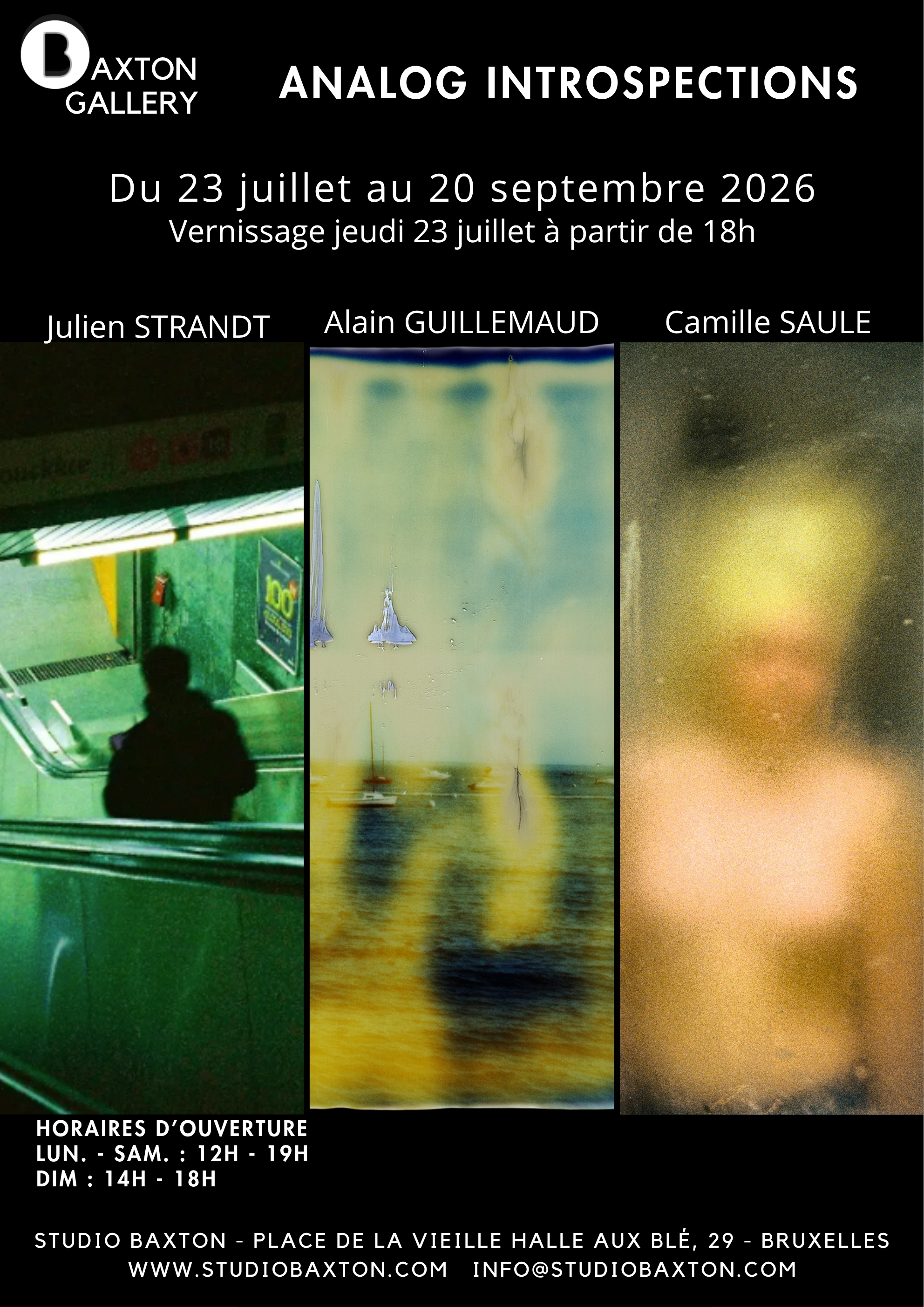 Analog Introspections