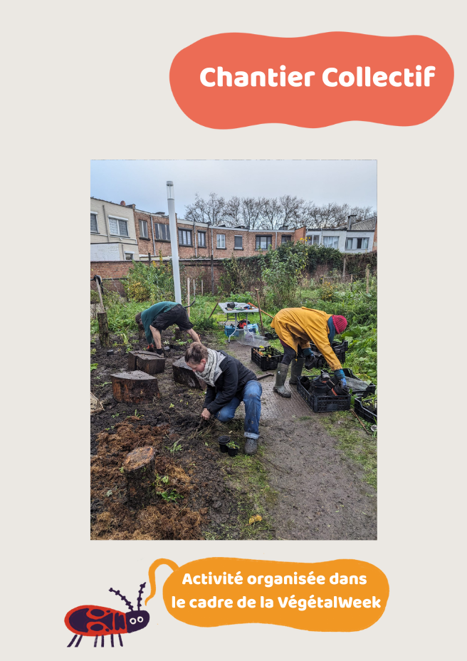 Chantier collectif / Potager Marais Wiels