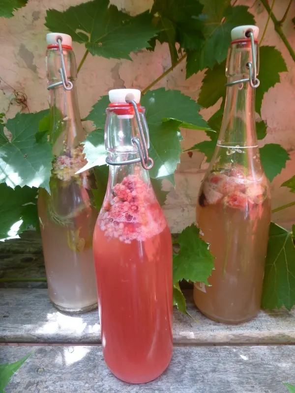 Workshop: Wild Ferment