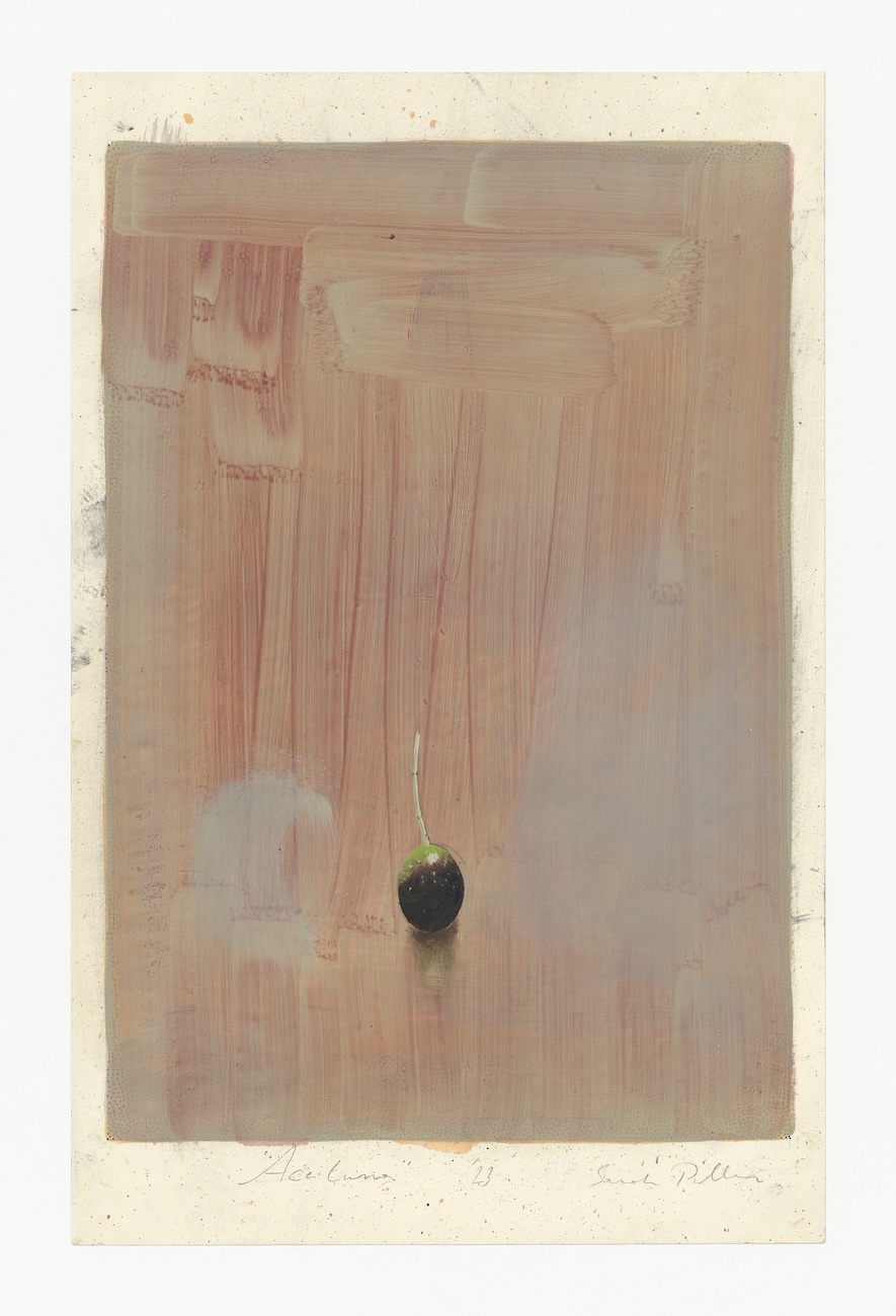 Sara Pillen (1.23),Aceituna,2023,Oil on paper,33.5 x 22 cm