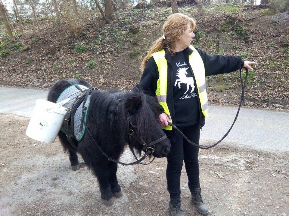 Hippocantonier - action citoyenne hippomobile de ramassage des déchets sur la voie publique — Plateforme de la Forêt de Soignes