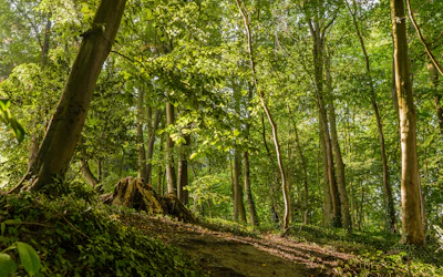 Tous les parcs bruxellois | Visit Brussels