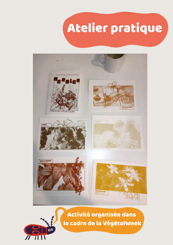 Atelier pratique : Découverte des plantes et réalisation d&#039;encres végétales