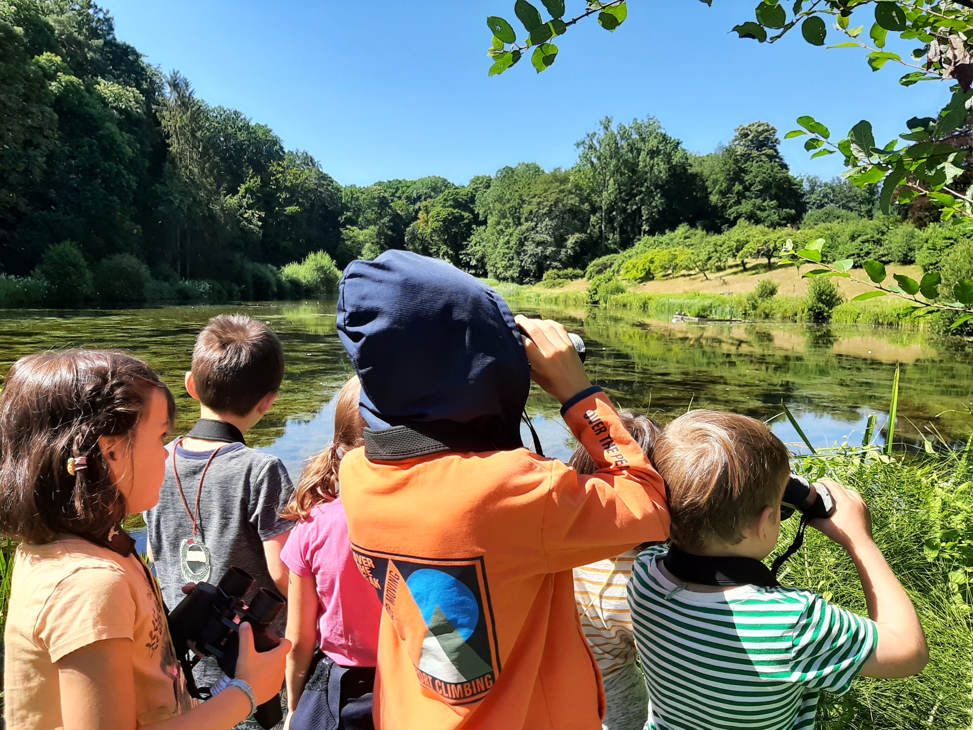 Zomernatuurkamp in het park — ASBL Tournesol