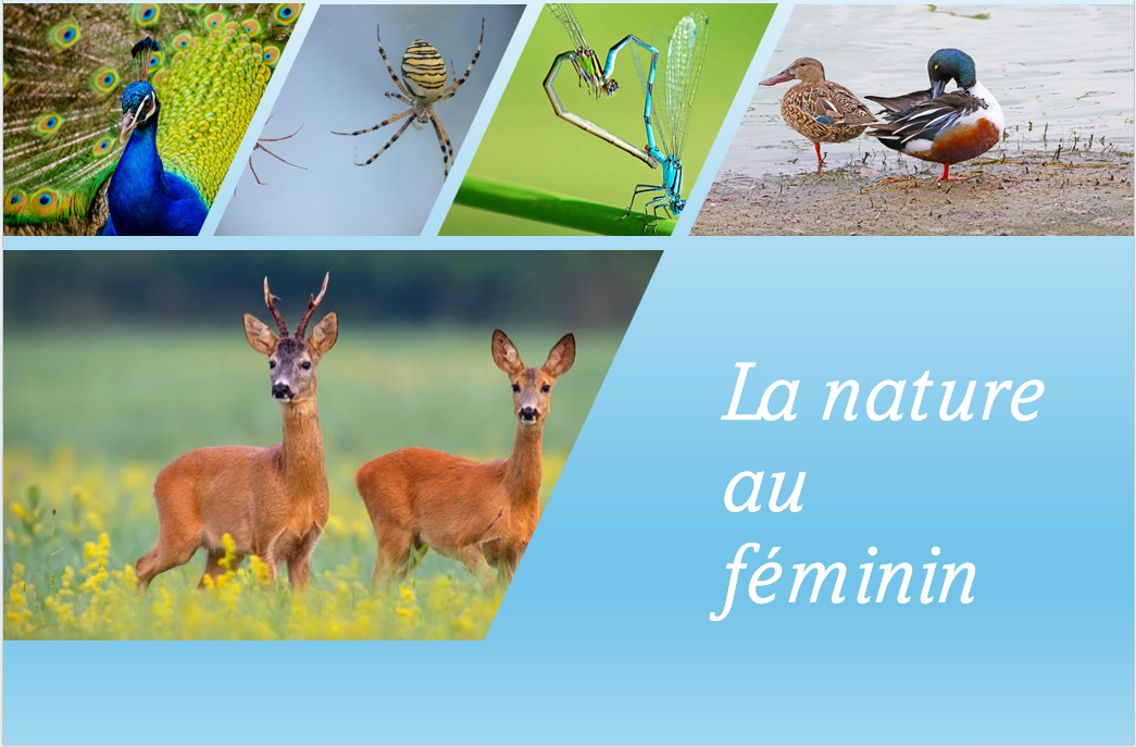 La Nature in the feminine