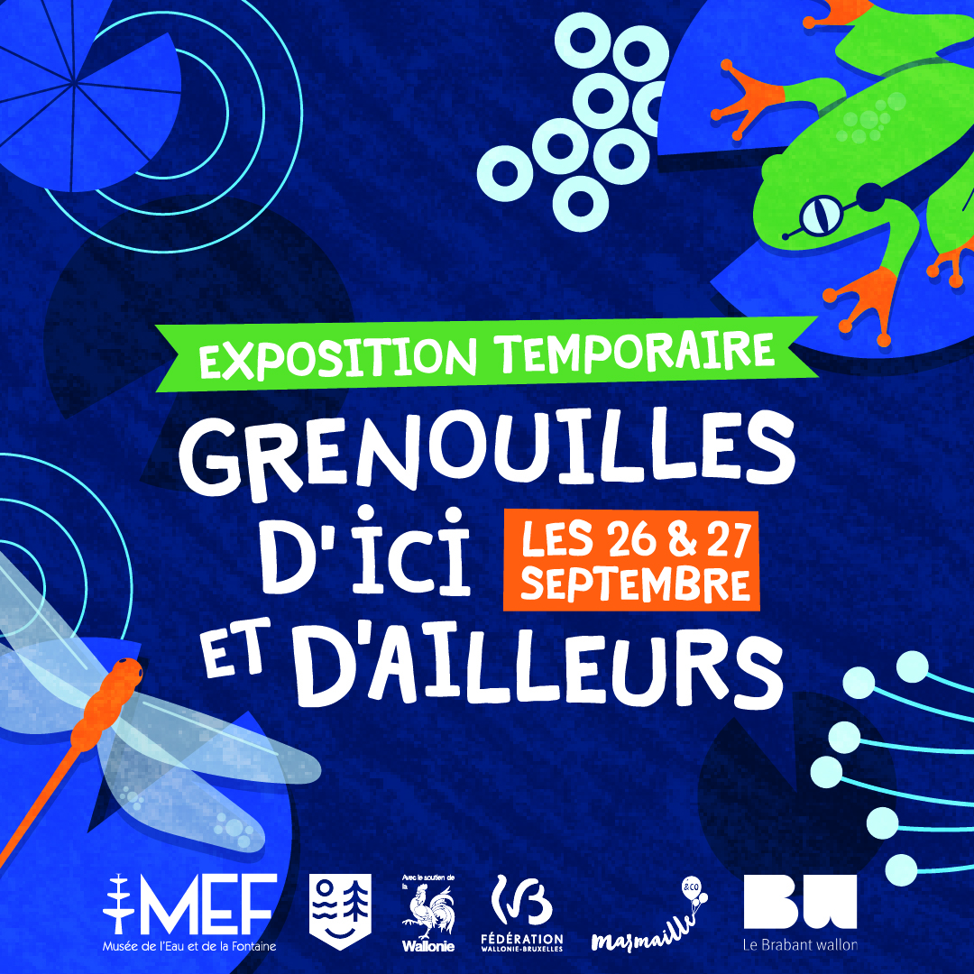 Grenouilles d'ici et d'ailleurs