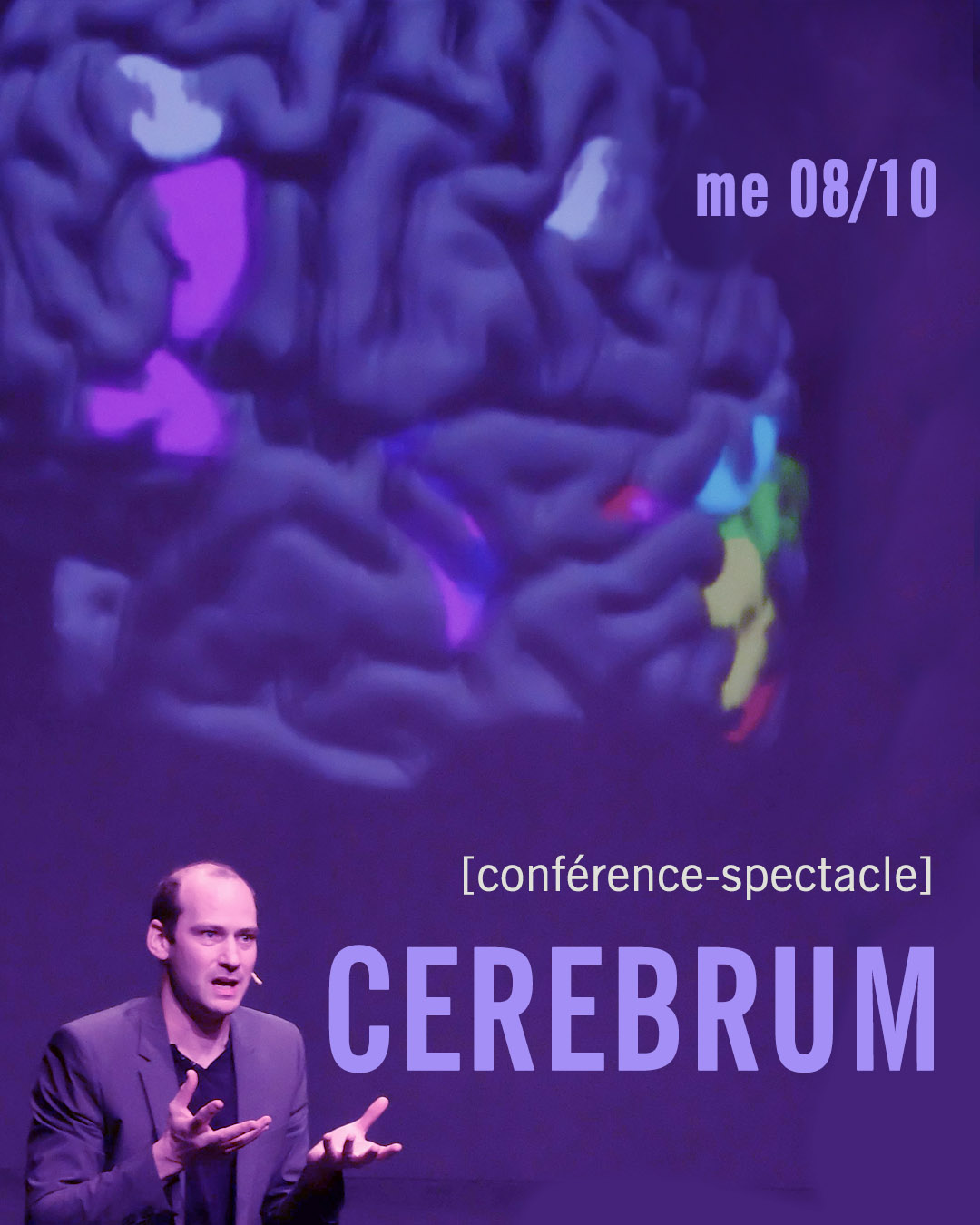 Cerebrum