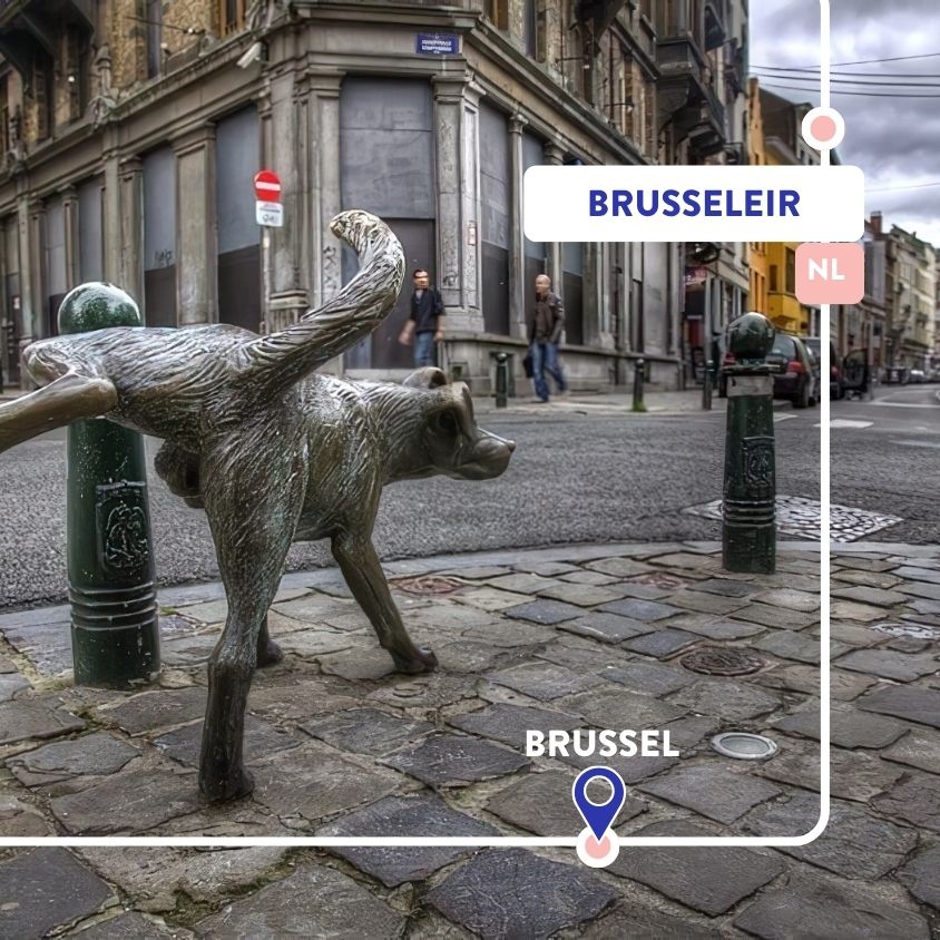 Brusseleir | Brussel