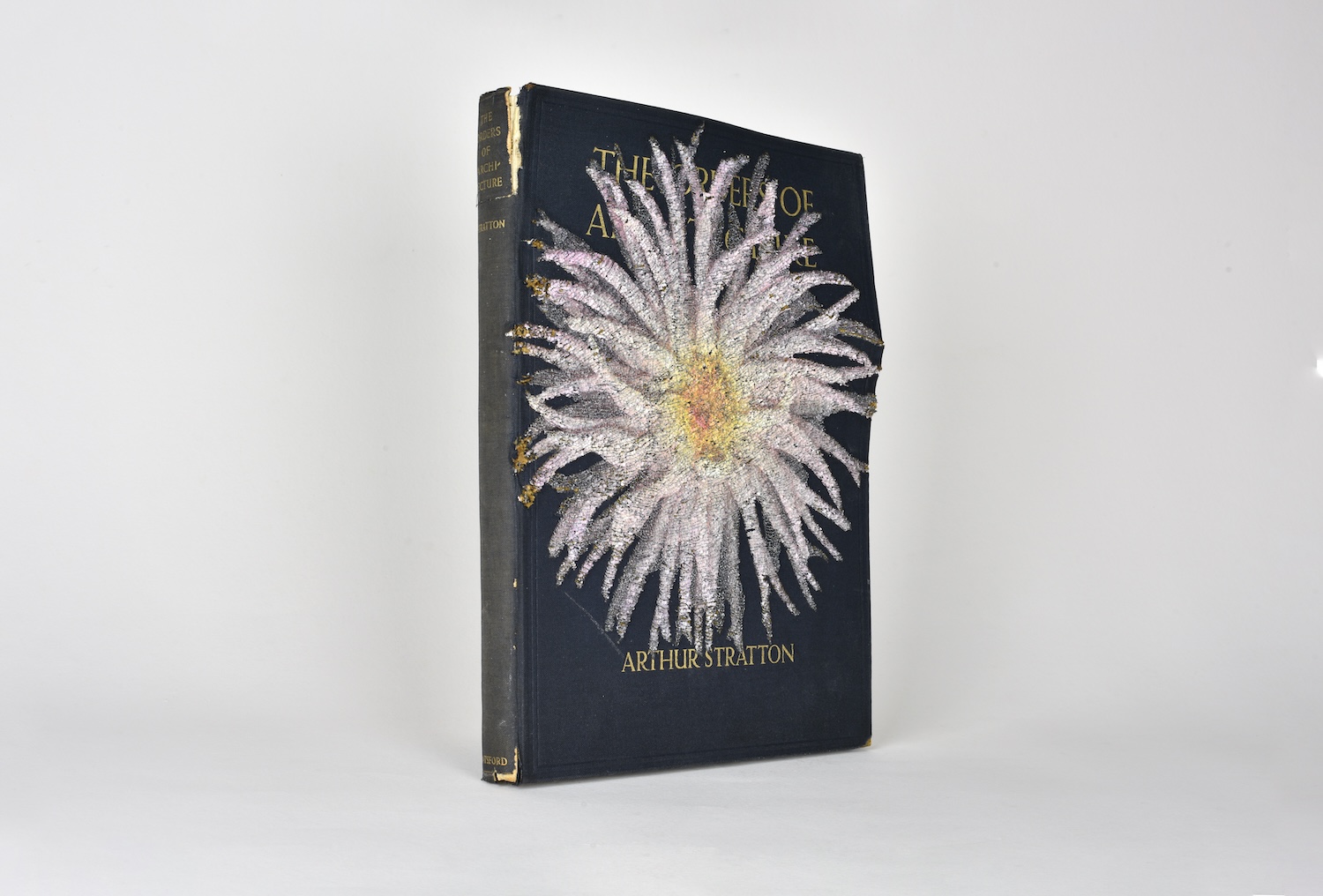 Jonathan Callan,An Iris in the Orders of Architecture,2025,paper. 31 x 23 x 4cm